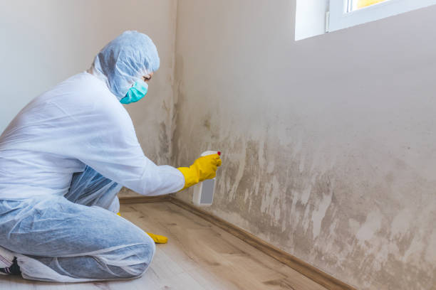 Licensed Mold Testing service in Ellicott City, MD - WQB Mold Removal