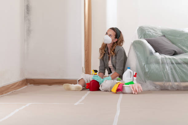 Reliable Mold Testing contractor in Ellicott City, MD by WQB Mold Removal